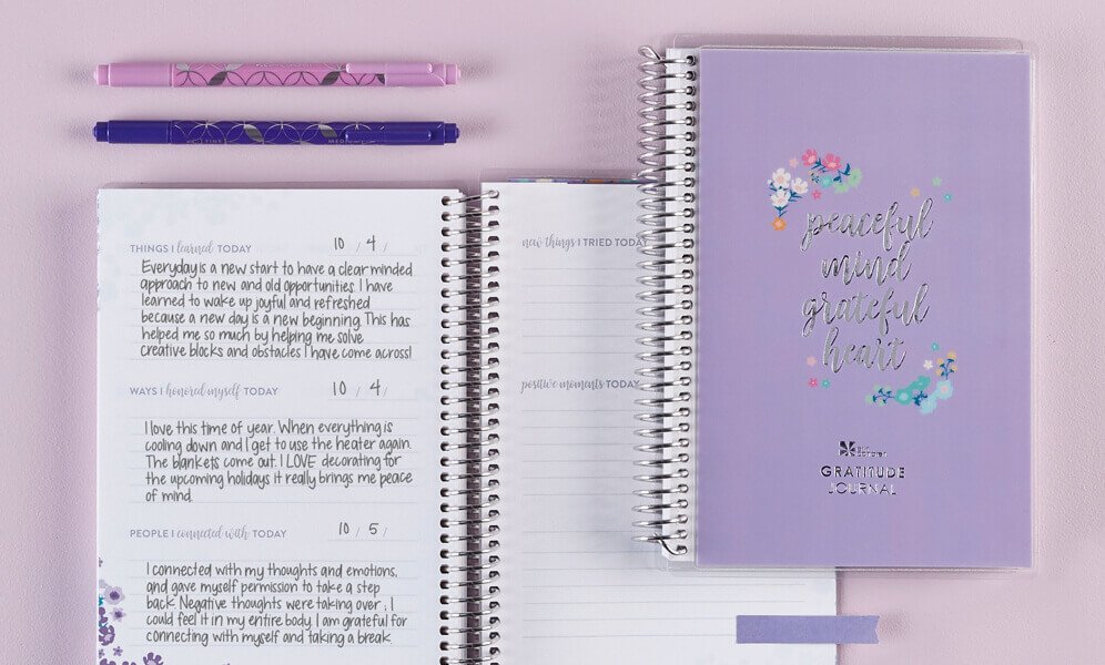 Erin Condren Guided Journals Everything You Need to Know - gratitude journal